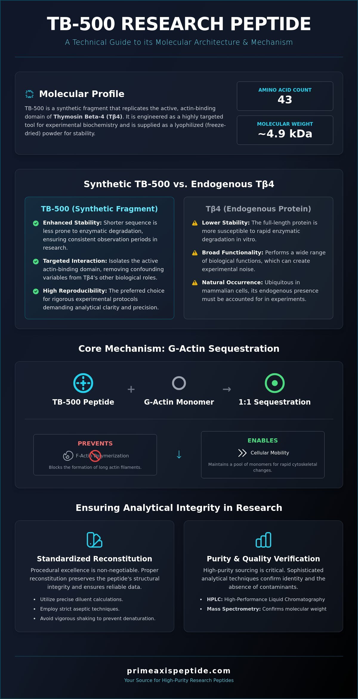TB-500 Research Peptide: A Comprehensive Analysis of Molecular Mechanism and Laboratory Application